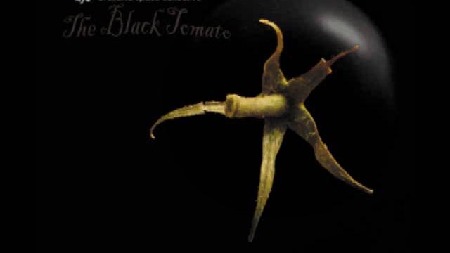 Oresund Space Collective - The Black Tomato Pt. 1 смотреть онлайн