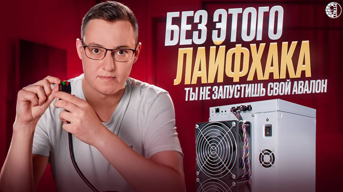 Обзор аппарата Avalon 1566