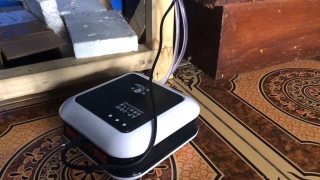 Review Aerator/Pump IKAN HIAS Murah, Ga Bising dari YAMANO 08 - Penghasil Gelembung Oksigen смотреть онлайн