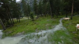 Ущелья Аксаут и Марухское. Отмечаем день рождения вдвоем в горах!