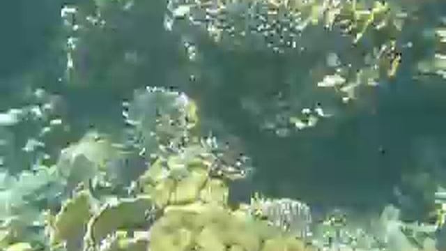 marsa alam sahara beach 2 смотреть онлайн