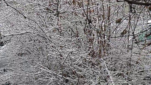 Березень 2020 (Весеннее Равноденствие -- 2020). 2(2) смотреть онлайн