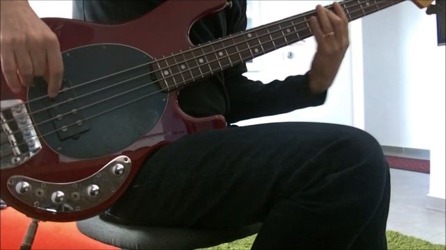 Skunk Anansie - Hedonism (Just Because You Feel Good) - Bass смотреть онлайн