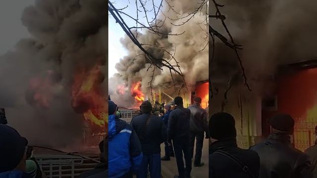 Пожар Королёв 23.11.2019 смотреть онлайн