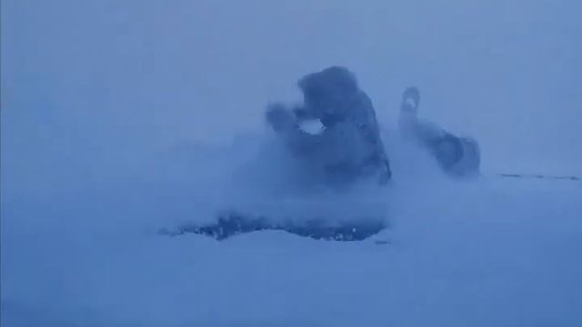 Куприянов _ Снежность.avi смотреть онлайн