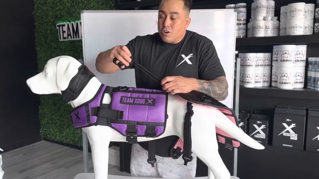 XDOG VEST 3.5 New Features On The World’s Greatest Dog Harness™️ смотреть онлайн