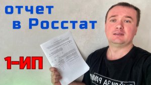 Как сдать Отчет в Росстат? Отчет в Росстат по форме 1-ИП