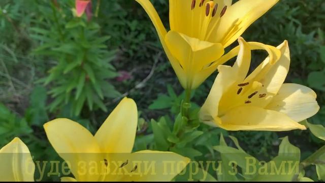 Привітання з Днем Ангела для Тамари! Привітання з Іменинами для Тамари! Іменини Тамари 1 травня смотреть онлайн