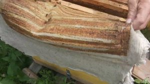 Как узнать когда ставить магазин для медозбора на улей?