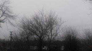 Зимний Пейзаж Пасмурно VID_20250203_082424