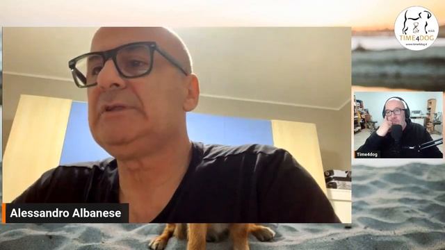 PODCAST - "La morfologia è ancora funzionale al lavoro?" #33 #allevamento #dog смотреть онлайн
