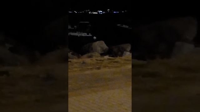 решили половить рыбу но ночное море бушует смотреть онлайн