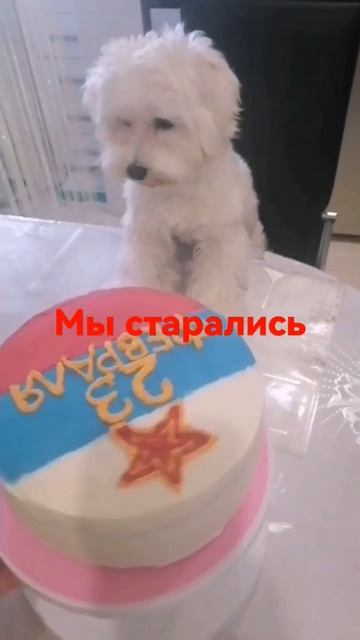 тортик получился очень вкусный. смотреть онлайн
