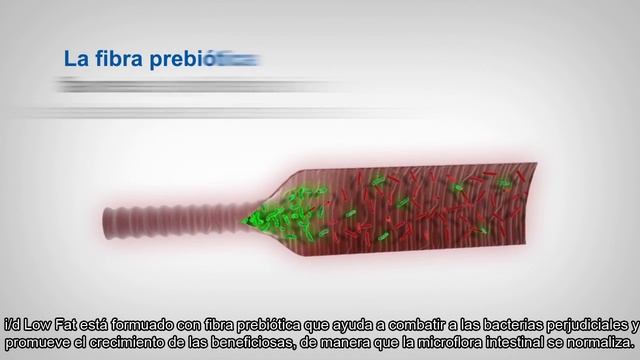 Comprueba cómo funciona i/d Low Fat - 4 смотреть онлайн