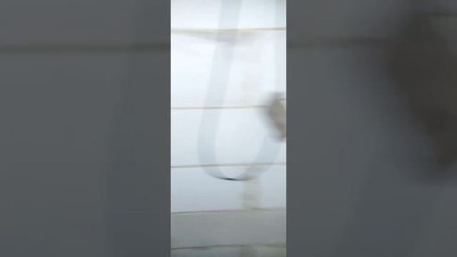В 3:00 ночи поошли гулять😱🤯 смотреть онлайн
