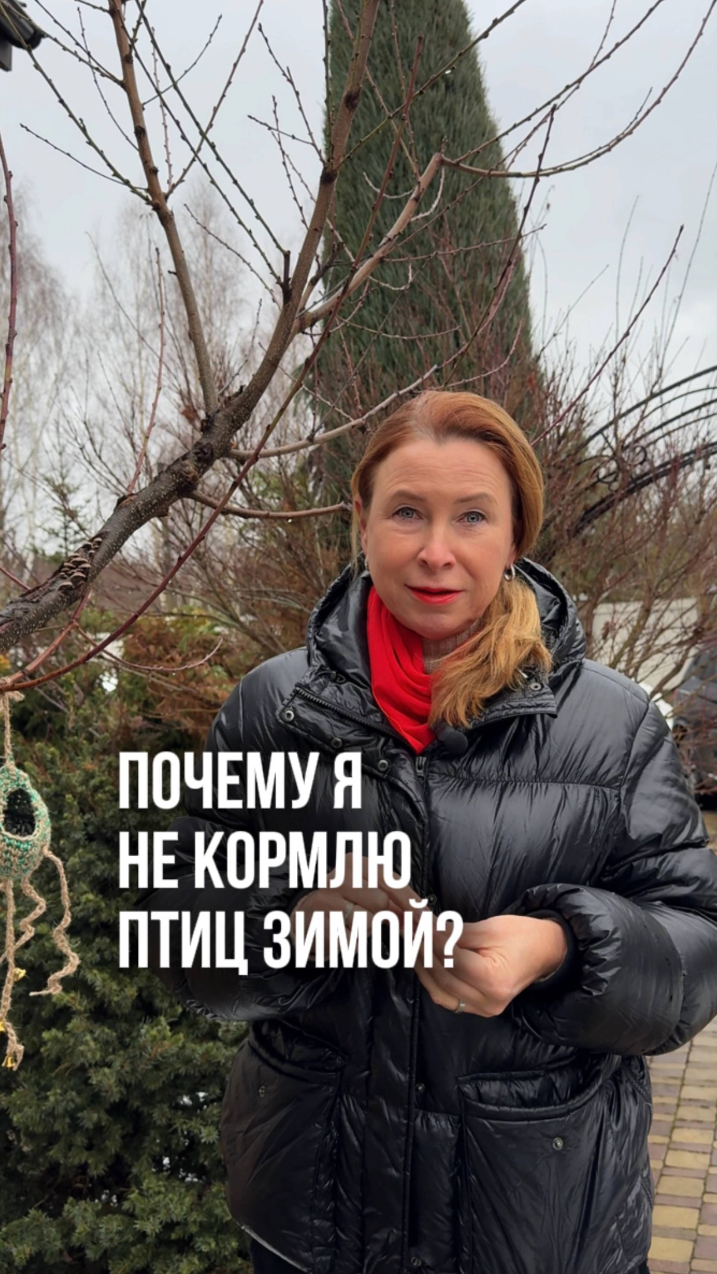 Почему я не кормлю птиц зимой смотреть онлайн
