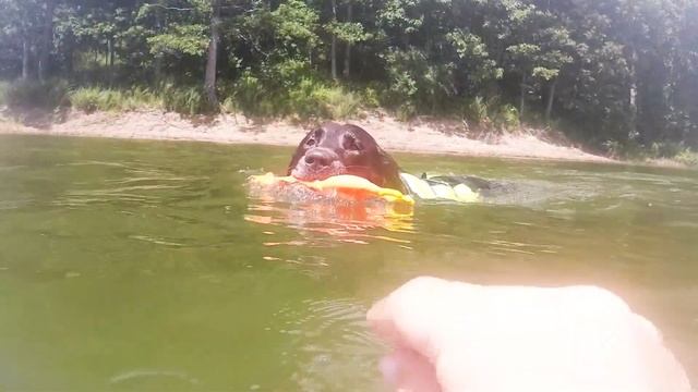 Lake Shelbyville Wake Life- Grant Owens смотреть онлайн