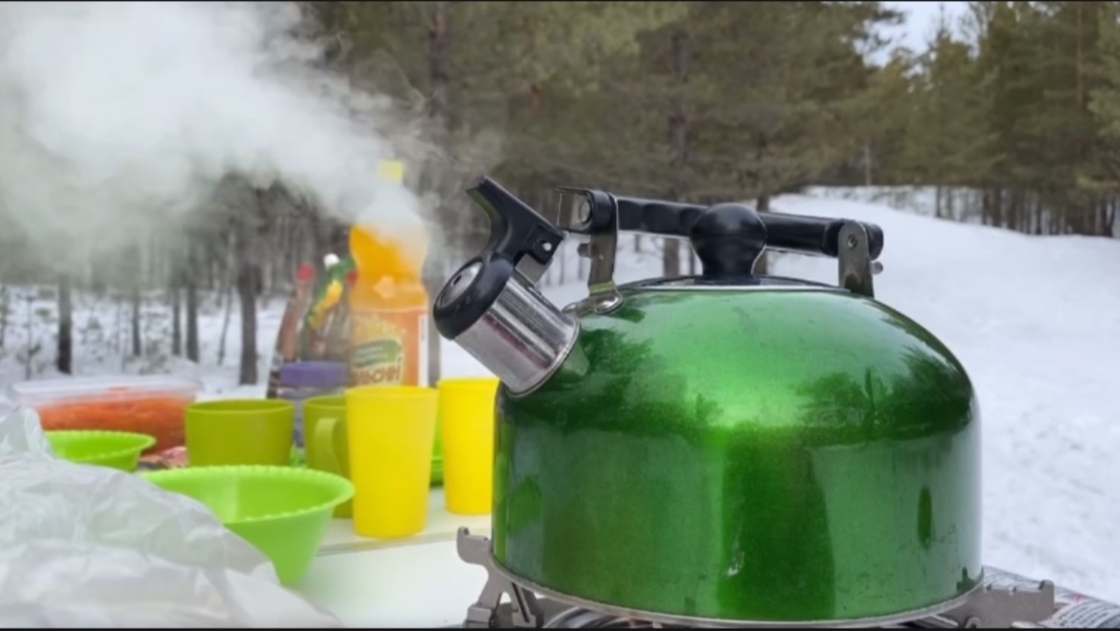 Треск костра в зимнем лесу. Отдыхаем всей семьёй. смотреть онлайн