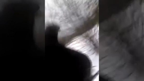 Охота на тетерева на лунках