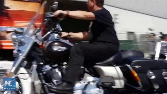 Euro Tariffs May Cause Harley-Davidson Prices To Spike смотреть онлайн