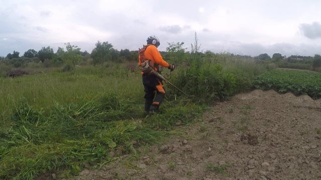 Desbroce en Tarragona , desbrozadora stihl con disco de hierba de 3 puas смотреть онлайн
