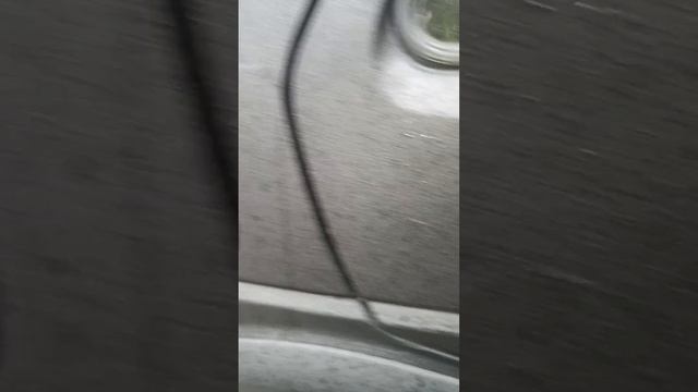 Кормила кошек, подошла собака.#спасение_и_помощь #cat #кошки #котик #собакадругчеловека #собака#dog смотреть онлайн