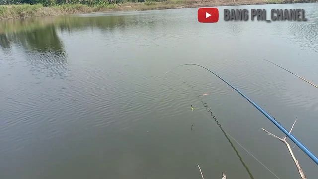 Menit 15:04 Lihat yang terjadi / Misteri waduk bekas galian смотреть онлайн
