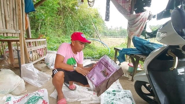 Land preparation basal application wokozim duofos triple14 смотреть онлайн