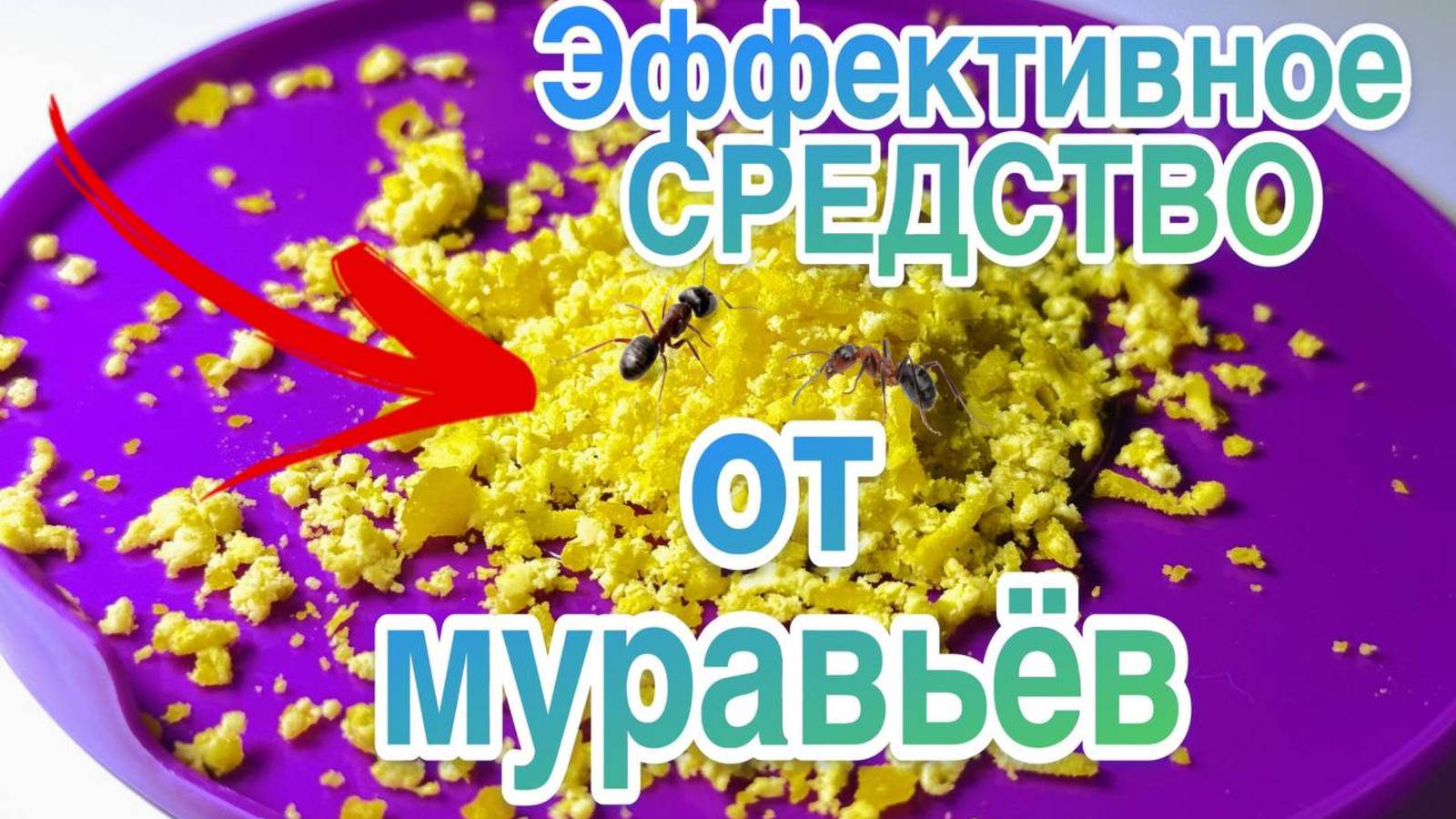 Эффективное СРЕДСТВО от МУРАВЬЁВ смотреть онлайн