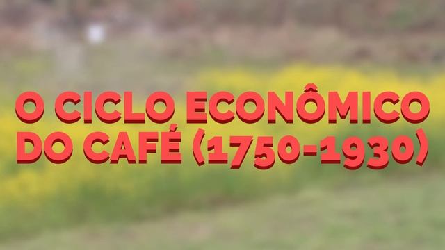 A HISTÓRIA DA ECONOMIA BRASILEIRA uncut │ História do Brasil смотреть онлайн
