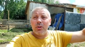 Утки Черри-Велли и СК-6: содержание, кормление и вес в 1 месяц. "Мое Подворье"🦆🦆🦆