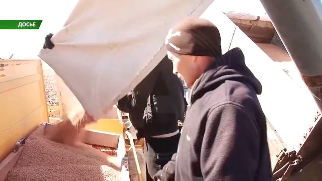 Костанайские аграрии испытывают трудности с выплатой своих долгов по кредитам