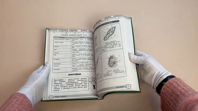 Биология смотреть онлайн