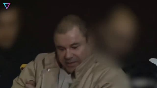 ▽ Закон и порядок_ законы и его нарушители