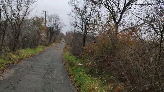 Славянск. 4 ноября 2022 года. Утро. смотреть онлайн