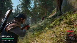 Days Gone Орда из Хорс-лейк