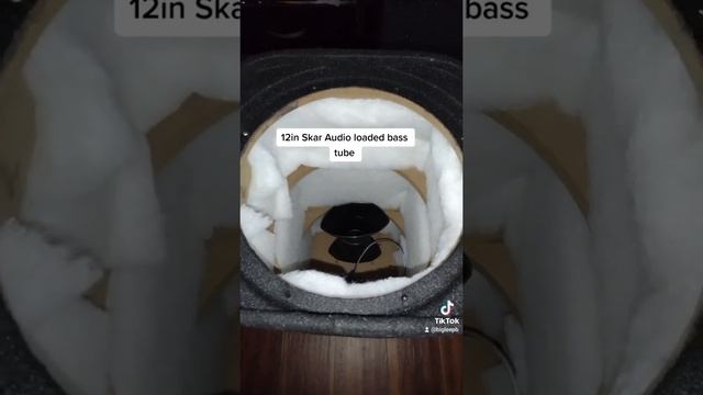 Skar Audio loaded 12in bass tube смотреть онлайн