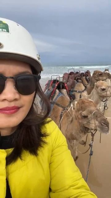 Camel rides in the beach @ Stockton Beach Port Stephens #camelridinginaustralia#r смотреть онлайн