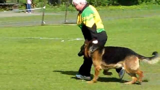 КЕНСИТИ ДАРЬЯН