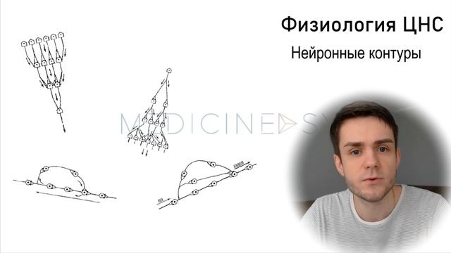 Физиология ЦНС