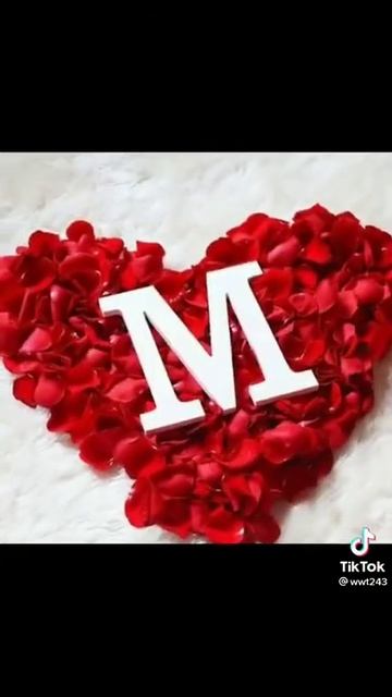 الجمل كثر💖💋 смотреть онлайн