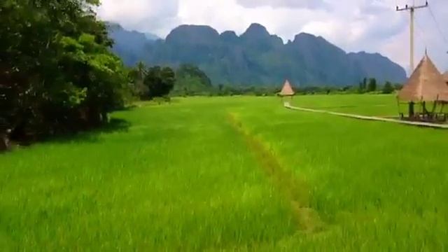 Vieng tara villa смотреть онлайн