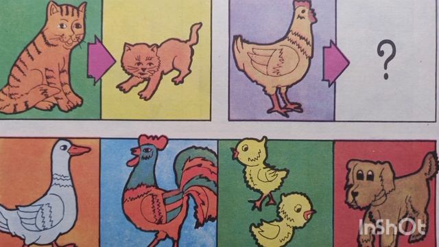 Ігри "Які предмети заховались?", "Запам'ятай тваринок", "Пара - до пари".Вправа "Намалюй сніжинку" смотреть онлайн