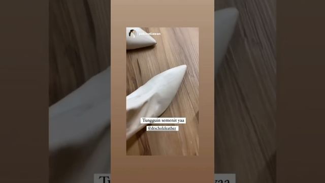 Dr Scholz Leather Doctor Dan Sepatu Kulit