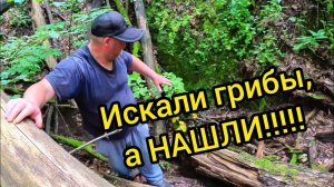 ИСКАЛИ ГРИБЫ А НАШЛИ!!! Место силы. Дом в деревне. Жизнь в деревне.