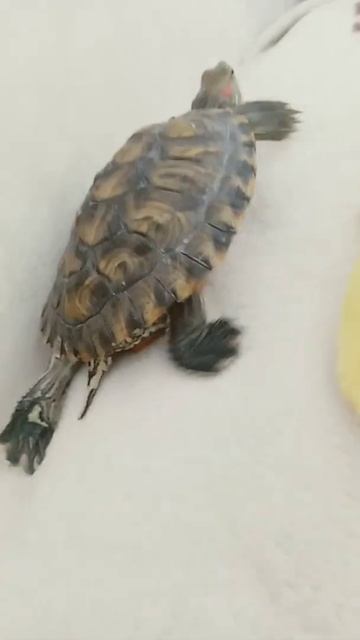 23 июня 2022 г. смотреть онлайн