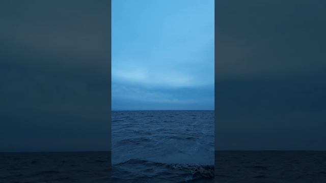 Я прочитаю в глазах твоих💖#music#luchshii#love#звукиморя#море#весна #волна #хит#иринакруг #шансон смотреть онлайн