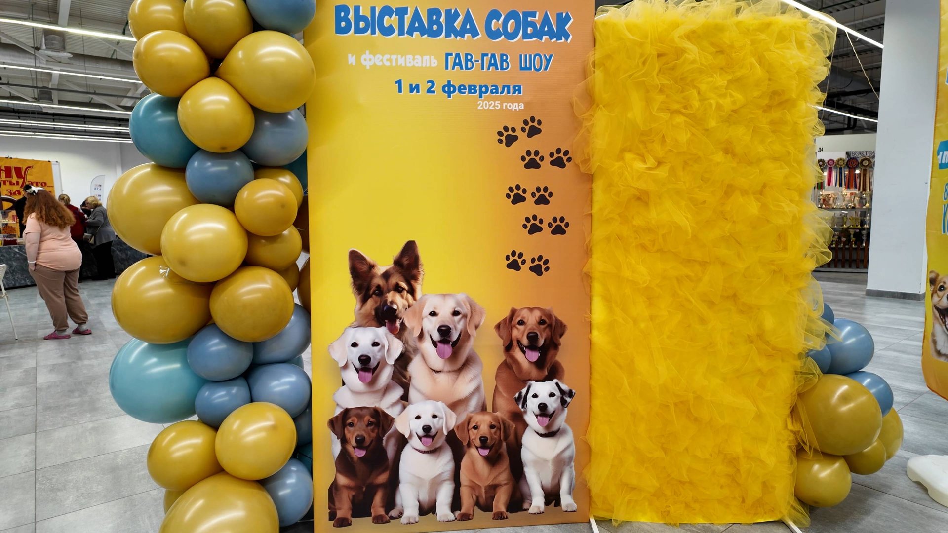 Выставка собак и фестиваль Гав-Гав шоу в Перми 01.02.2025