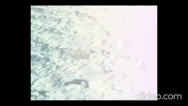 О ходе подготовки проекта Меркурий / Project Mercury Congressional Report (1960)