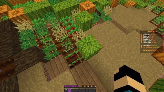 ОБЗОР РЕСУРС ПАКА НА REALLYWORLD